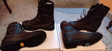 Anfibi invernali ed estivi 