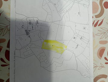 14.000 Metri quadri di Bosco misto