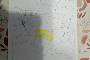 14.000 Metri quadri di Bosco misto