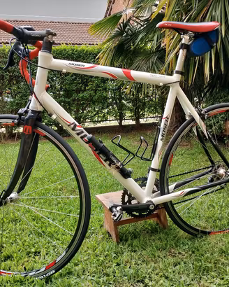 Bici da strada Moser