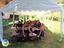 Immagine 16