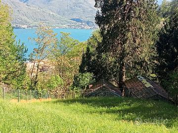 coppia di rustici