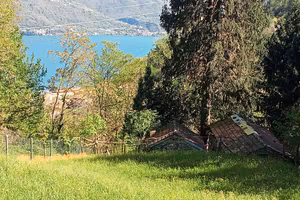 coppia di rustici