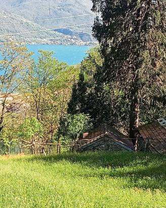 coppia di rustici