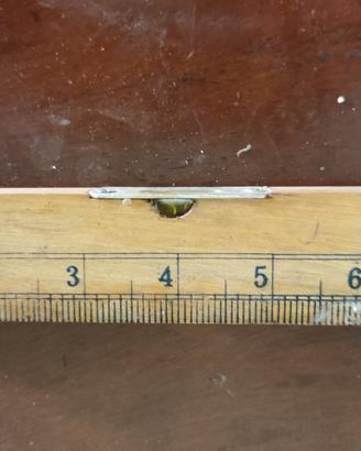 Righello con bolla in legno vintage 