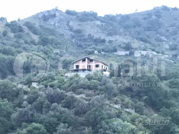 Terratetto Messina [0681-99VRG]
