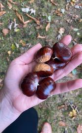 Castagne valdostane