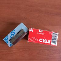 Incontro Elettrico CISA 