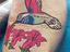 Immagine 3