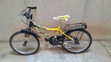 bicicletta 20'