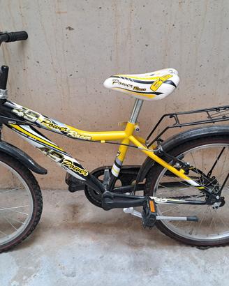 bicicletta 20'