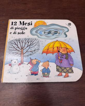 Libro “12 mesi di pioggia e sole”