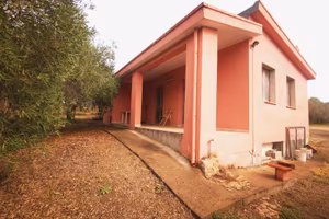 Terreno Agricolo - Maracalagonis