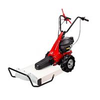 TRINCIATUTTO EUROSYSTEMS MINIEFFE MOT. LONGIN 190c