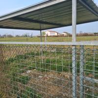 recinto per cani ad angolo con tettoia