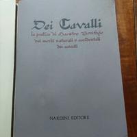 DAI CAVALLI LA PRATICA DI MAESTRO BONIFACIO