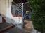 Immagine 15