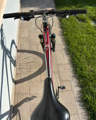 Bicicletta specialized ragazzo