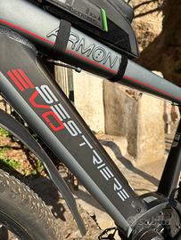 Bici mtb