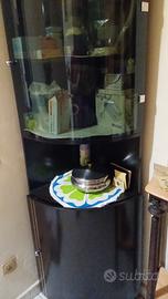 angolare con vetrina