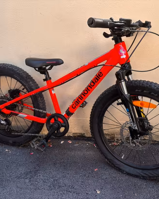 Bici 20 polliciper bimbo