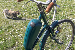 Garelli Mosquito anno 1959, restaurato