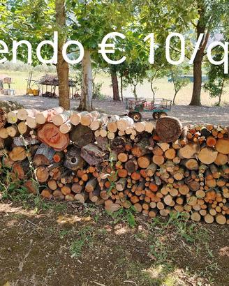Legna da ardere 