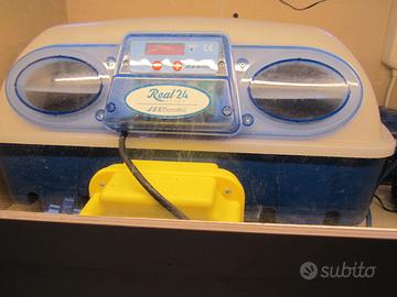 INCUBATRICE AUTOMATICA COIBENTATA