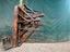 Immagine 14