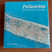 Pellestrina storia di un'isola tra mare e laguna