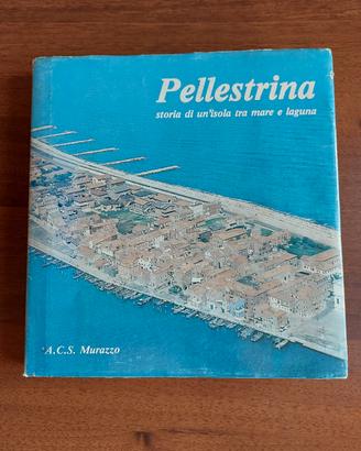Pellestrina storia di un'isola tra mare e laguna