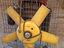 Immagine 1
