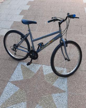 bici da donna