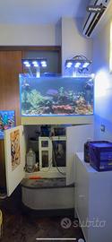Acquario marino completo di tutto