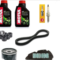 Sh 300 Kit tagliandi
