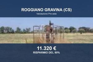 Immobile in asta di 37060 m² a Roggiano Gravina