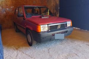 Fiat panda young