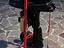 Immagine 3