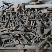 legna da ardere di olivo