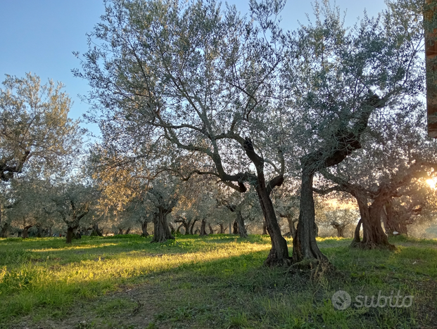 Locale in campagna per feste ed eventi