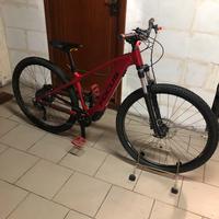 E bike bici assistita focus