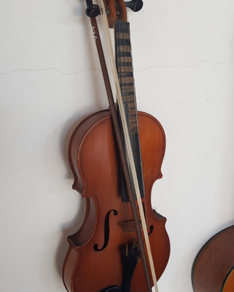 Violino