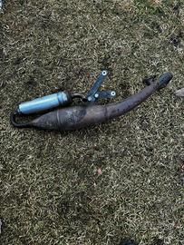 Marmitta leo vince tt