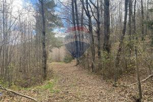 Terreno - Linguaglossa