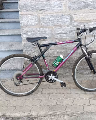 bicicletta