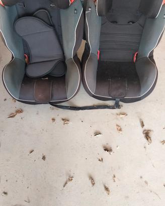 seggiolini auto Foppapedretti 