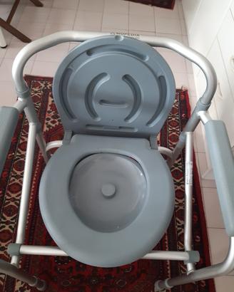 sedia wc