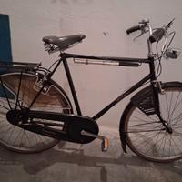 Bici Turismo Raleigh Superbe