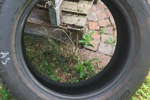 Pneumatici Pirelli Cinturato C3