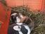 Immagine 4